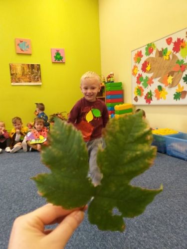 245202601_4455607214547345_995170511609014881_n.jpg