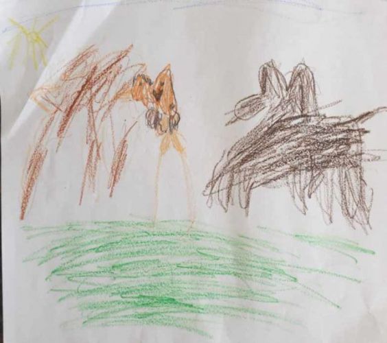 Resized_20200416_122226.jpeg