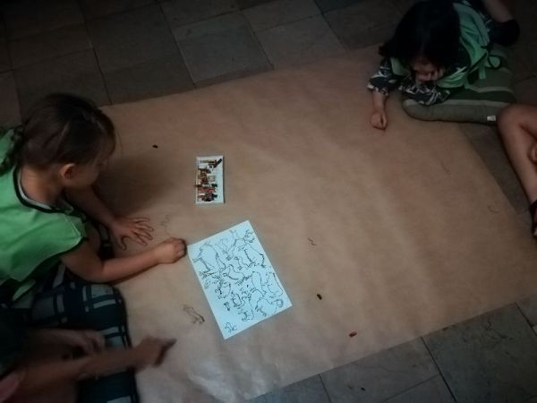 IMG_20180619_104257.jpg