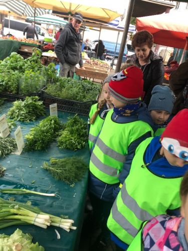 28A89AFE-2D5D-4639-9AAB-B831C63D10C5.jpeg