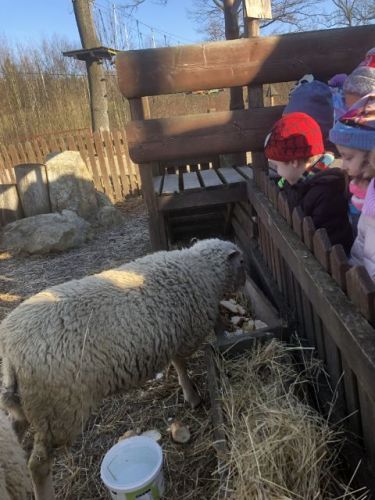 ski003.jpg