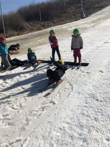 ski115.jpg