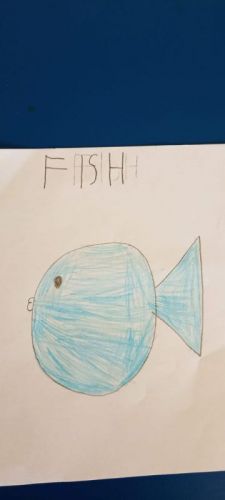 IMG-20240917-WA0067.jpg