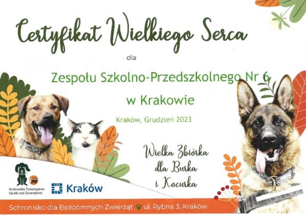 certyfikat.jpg
