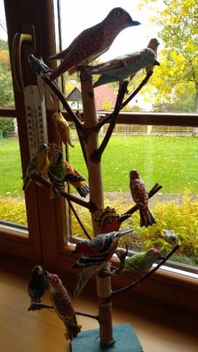 IMG_20171010_104456.jpg