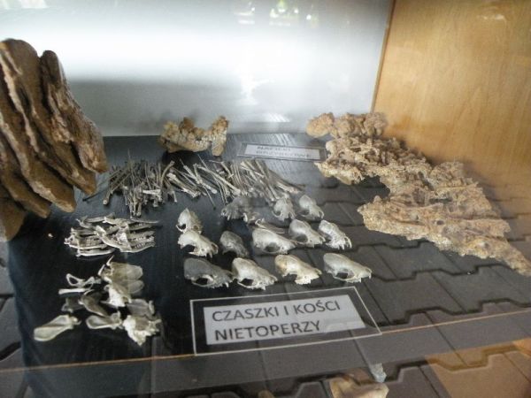 DSCN9405.JPG