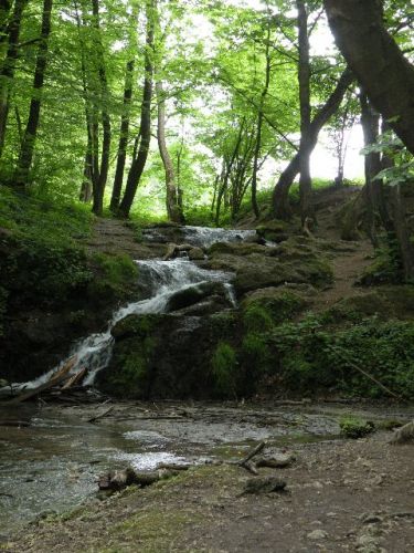DSCN9420.JPG