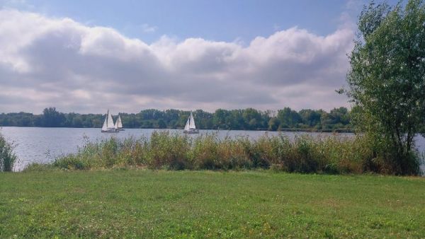 20250909_104652.jpg