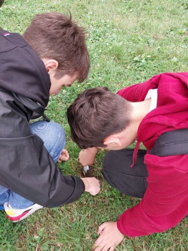 20240612_105435.jpg