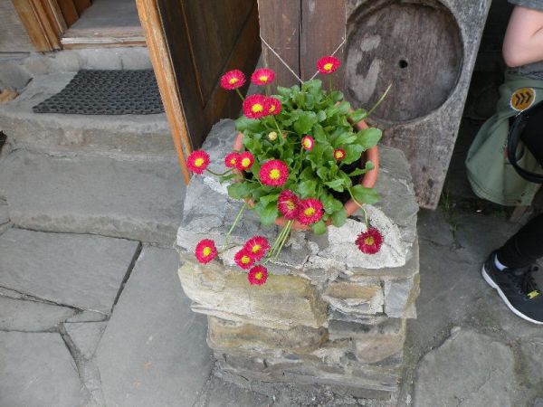 DSCN0851.JPG