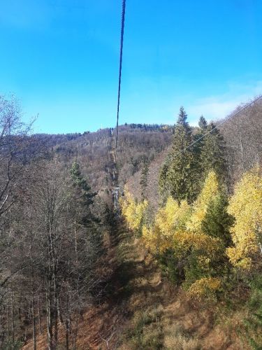 20221025_111718.jpg
