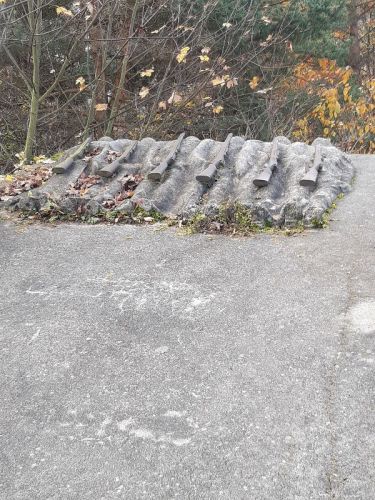 20221026_103311.jpg